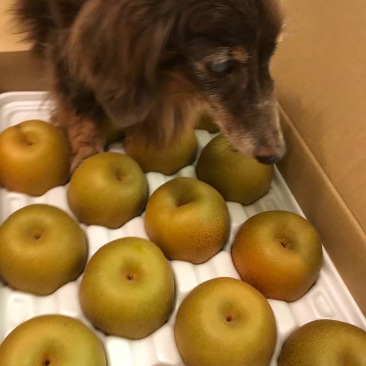 6e074ba2 fbd0 47b1 9e32 90a67d64dd69 1535678209714