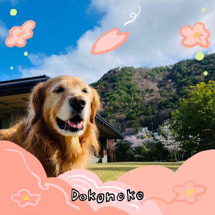 6e075226 6fb8 4a70 9d56 637563564978 1775442332951