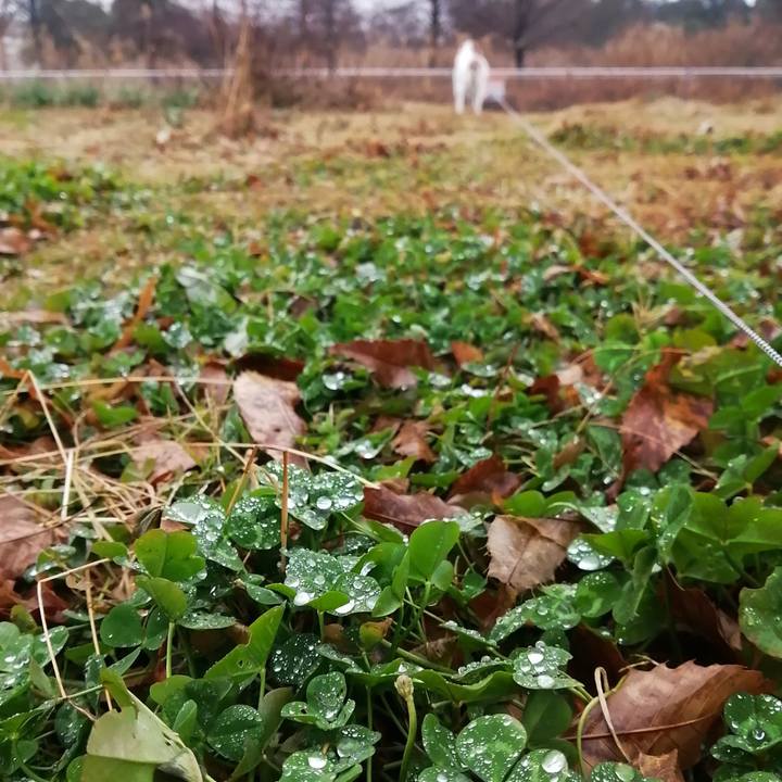 6e075d19 5a28 4aa5 94e5 e6a2df8ab58a 1611309684623