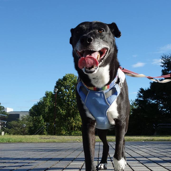 6e075e82 5111 4876 b4bf a9c37d9216c9 1723852800480