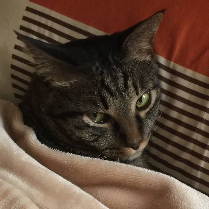 6e077198 e6be 4712 8919 138381bc562c 1548043373989