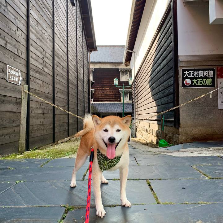 6e07bdd9 8321 4710 bda9 9634eb7216d4 1695207568882