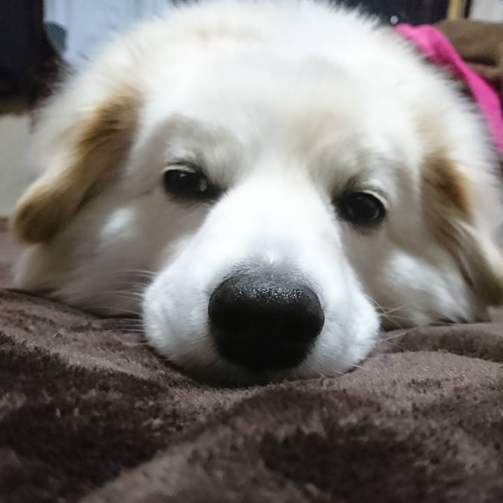 6e080443 b16a 47ab 8b64 7010126d5dfe 1521406765955