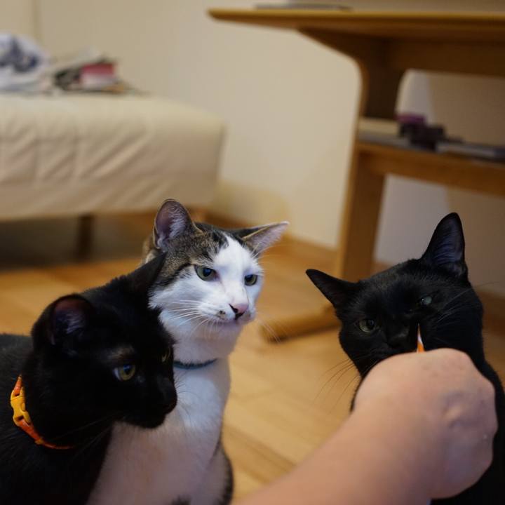 6e081552 c8ea 4986 9aa8 e2b6bceaf3e7 1538661694482