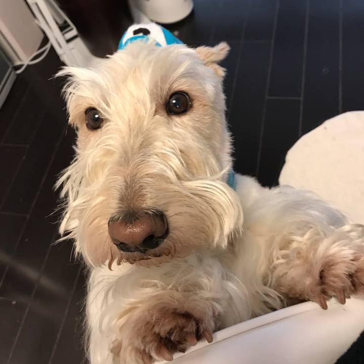 6e0824f3 88a0 47a3 881f 6207ec2009c3 1521083913387