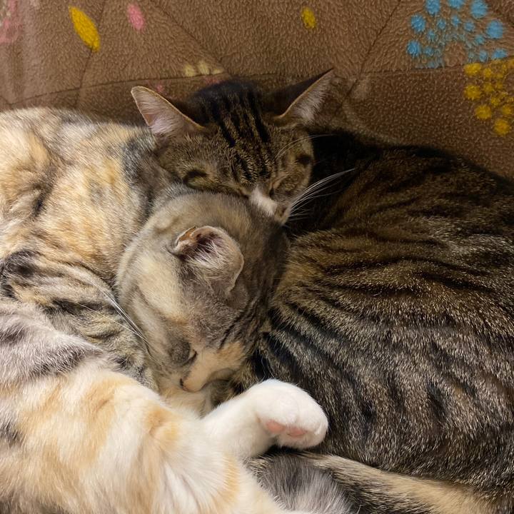 6e0831f0 2fc7 4348 8576 d4cf20a8aee7 1646918738890