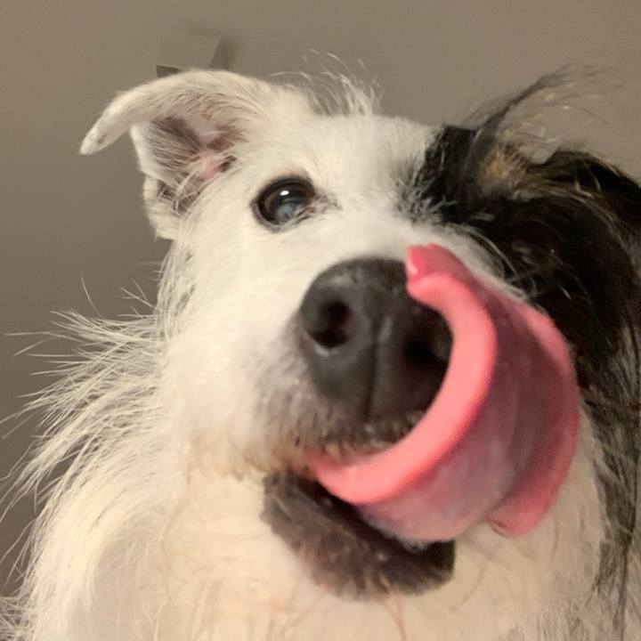 6e083e84 b01f 4362 bd32 64b2e01011d4 1688730509285