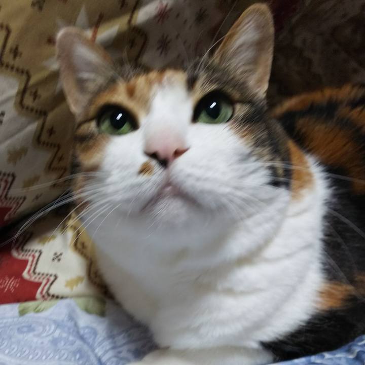 6e084213 24e5 4d4c af05 bbfeaae29453 1551087174038