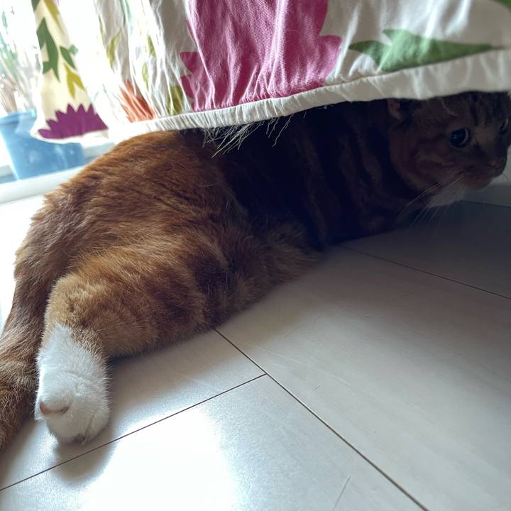 6e085406 56a4 4756 bf11 6e8c749dda3e 1722661326864