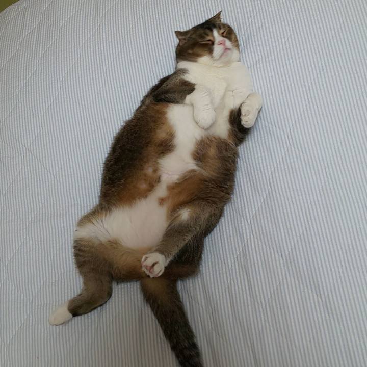 6e087ced 25de 4198 801c 7c114fb89e7f 1591453566068