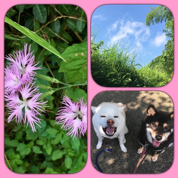 6e088901 d35a 4116 bb15 8f4ce2e1bf1a 1564019518165