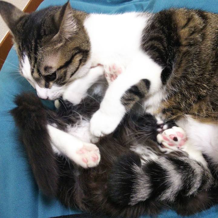 6e089be2 260e 4281 a549 6d568d02643b 1639480152429