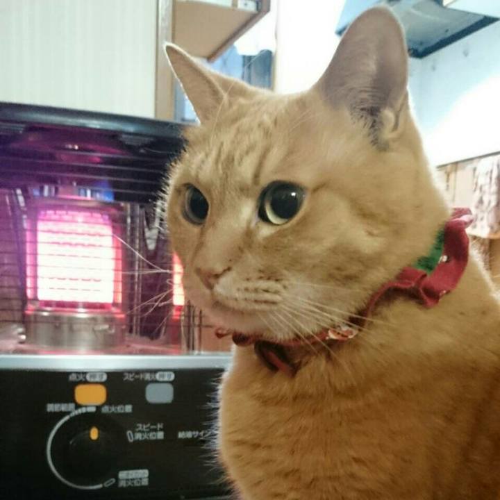 6e08a1af 508f 412e 8c7a 11d45f213b7d 1514680429088