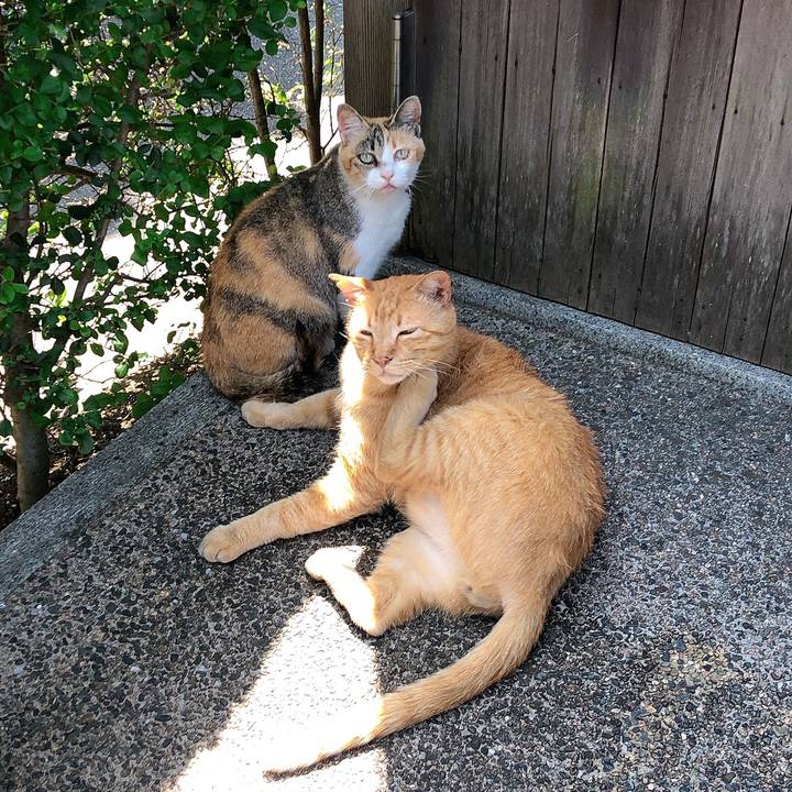 6e08a39c 792a 477f aba9 529c21c5bb92 1654221299524