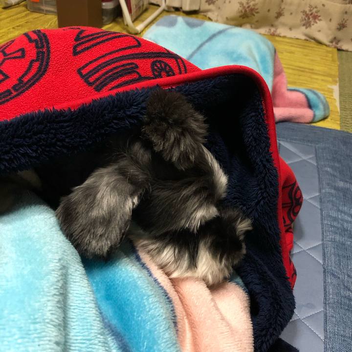 6e08eb26 9225 423f b0df 3b39246985d1 1671796784078