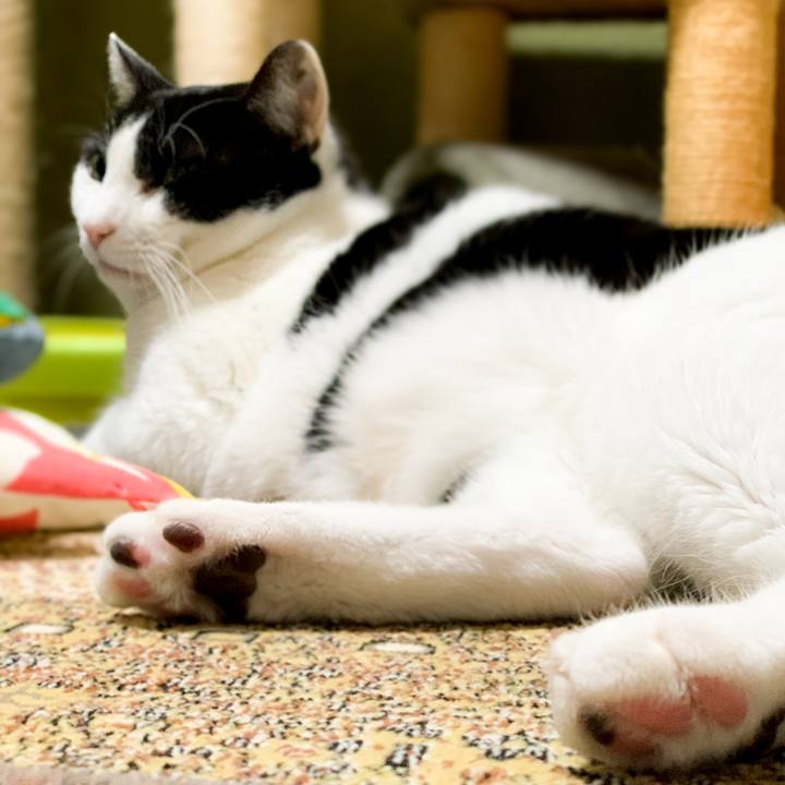 6e08f500 4782 42bb 8cb1 149a1784f2bd 1591840547372