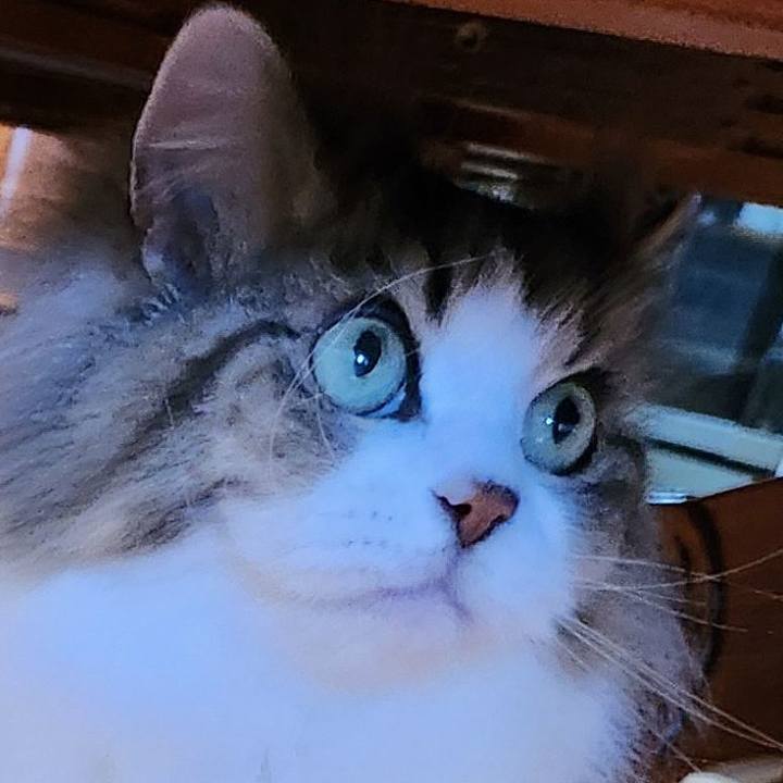 6e09174f 52c9 4568 8b3c f1982ca754da 1776556697841