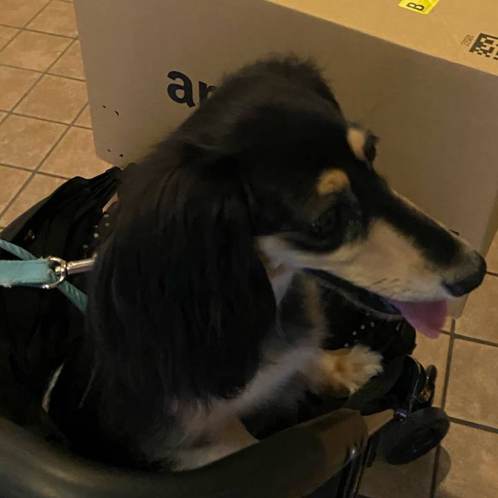 6e0938f4 e504 42a4 a6fe 0d96480a0e01 1725575334001