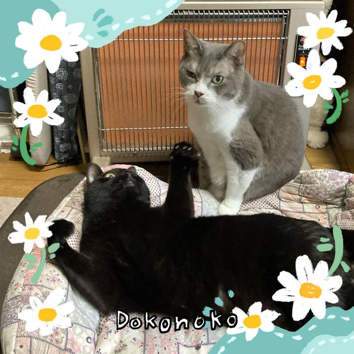 6e095f1c d521 4691 8bd4 20643a164b92 1712653245959