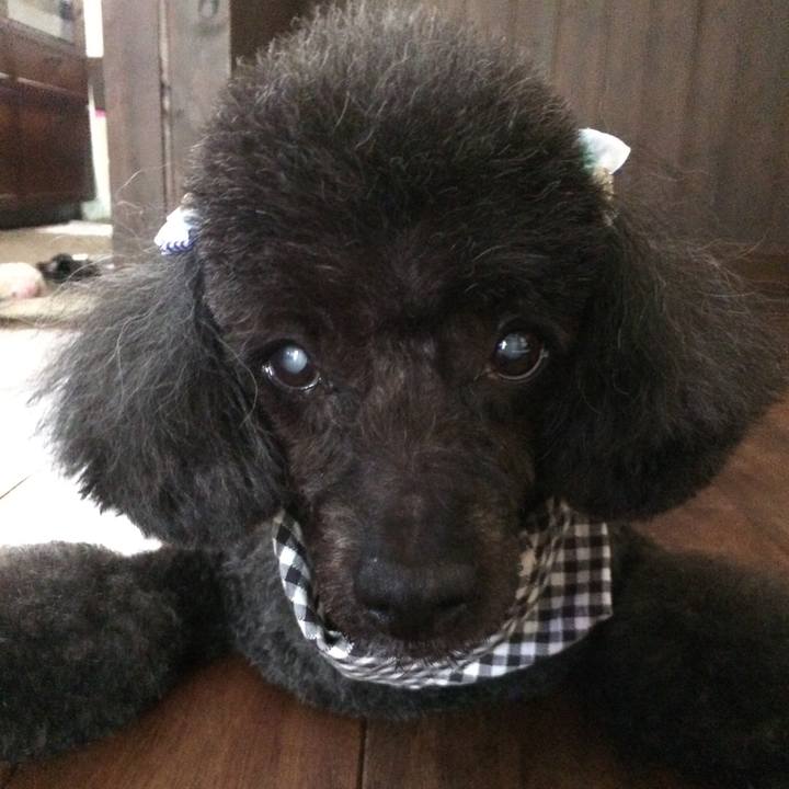 6e0991aa f946 4a09 9375 6195f5316292 1564812549015