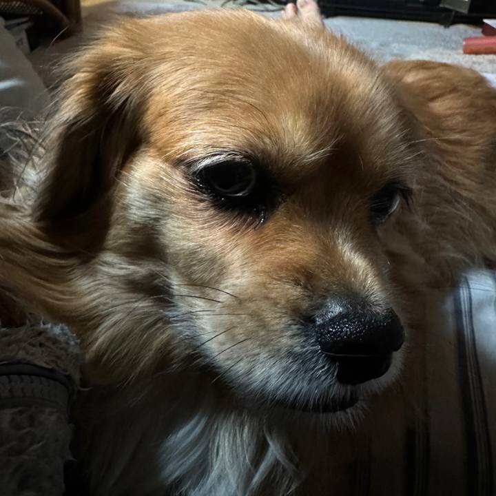 6e09ae2d 6600 490b 823e 5462d78061c1 1701725001593