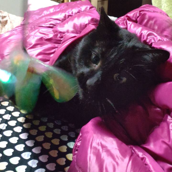 6e09d358 3721 44fb 831c 00caabe01a4b 1641042003729