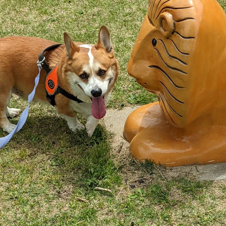 6e0a3990 a756 4383 b27f ad986eda53f3 1682302893568