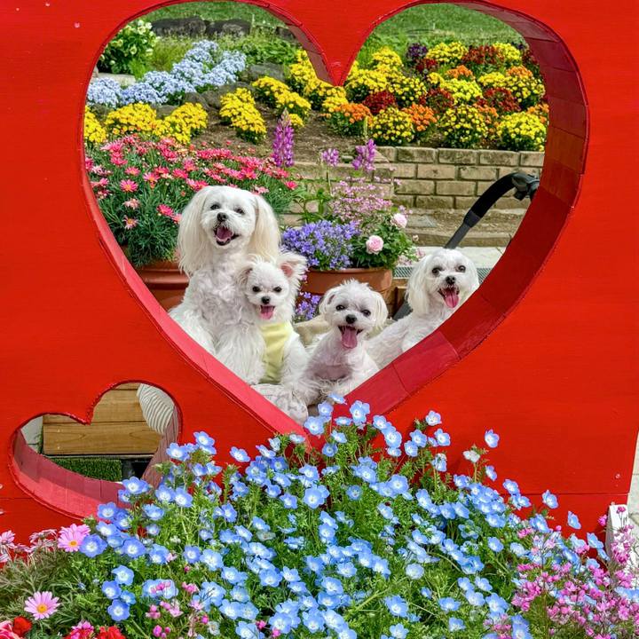 6e0a4e36 cab7 42ea 92e2 bb0f6018d477 1745131574779