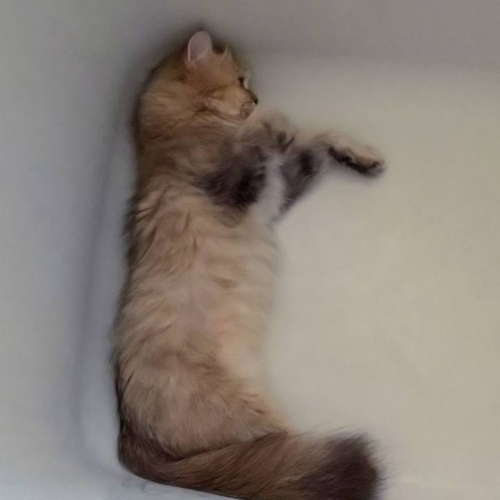 6e0a8077 a95f 41cc acc2 d515e03910ec 1628289999834