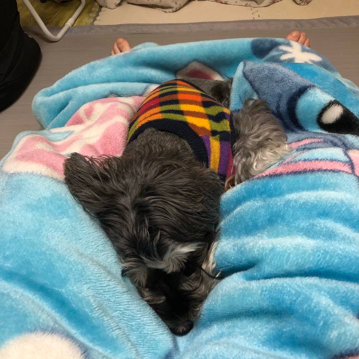 6e0ab1a0 0ff1 490c aeaf 8699dd3fd23f 1575028477634