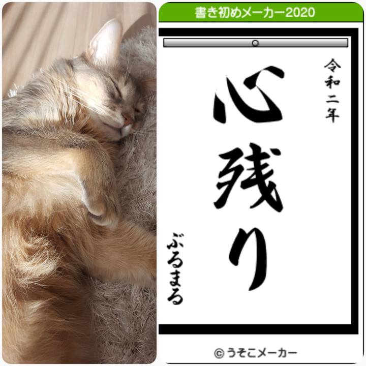 6e0aea68 28ff 4279 9dfe f9ffafbe3bc8 1577925768360