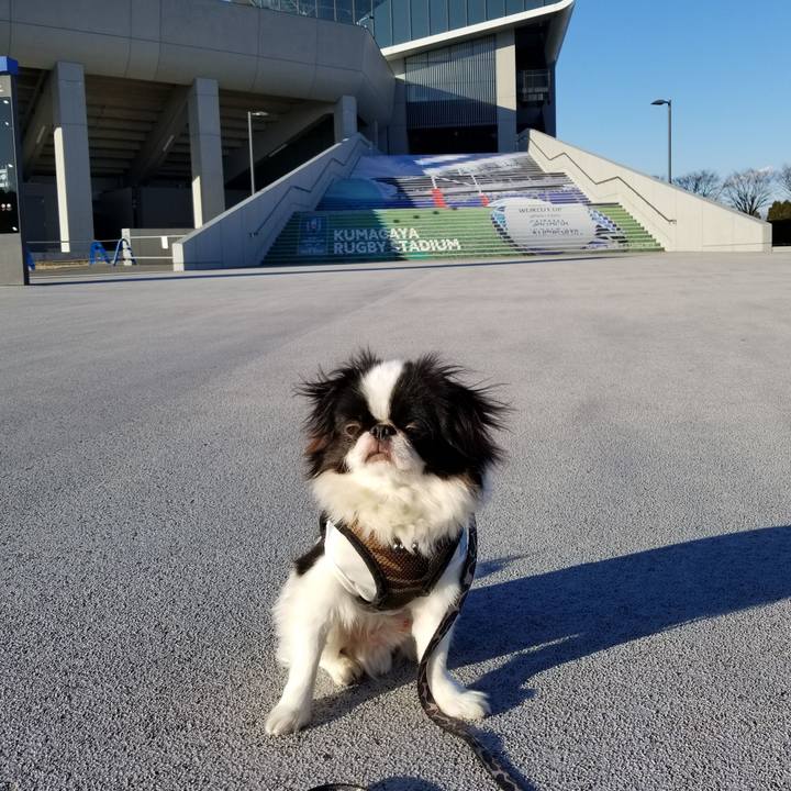 6e0aef1f fdc5 48e0 b443 3b783be904da 1641200145653