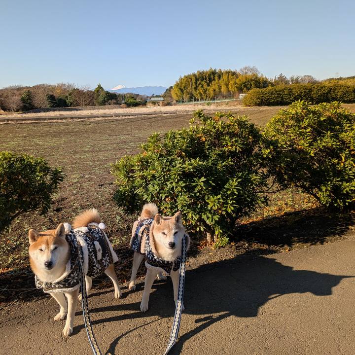 6e0b0119 b122 44ed a7b6 579303269318 1767238447664