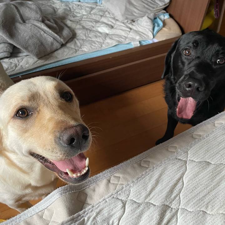 6e0b0599 1638 45d6 9767 4fd585e8c8d8 1655083491915