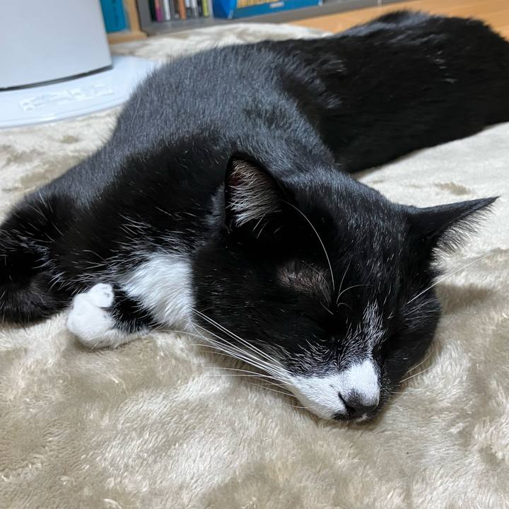 6e0b3184 8a2c 4808 b362 5fe70da68d4c 1674186140089