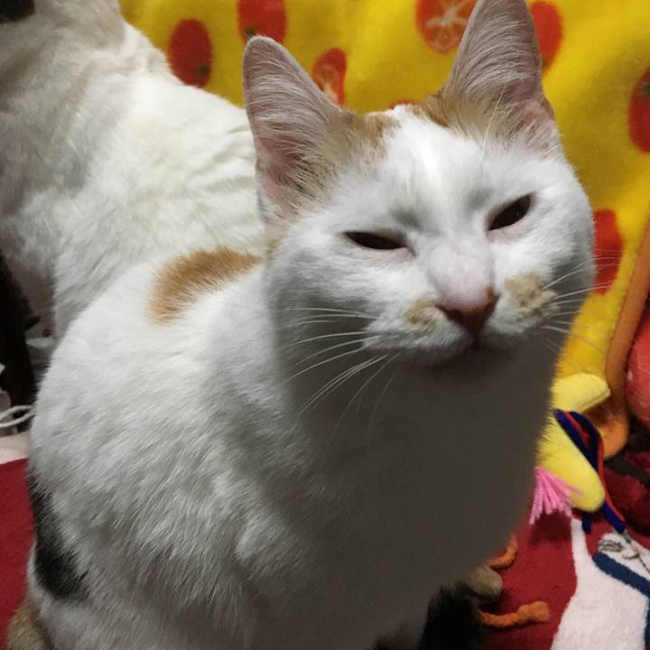 6e0b64de e39a 49b8 b21e d031521b3d2c 1520864717232