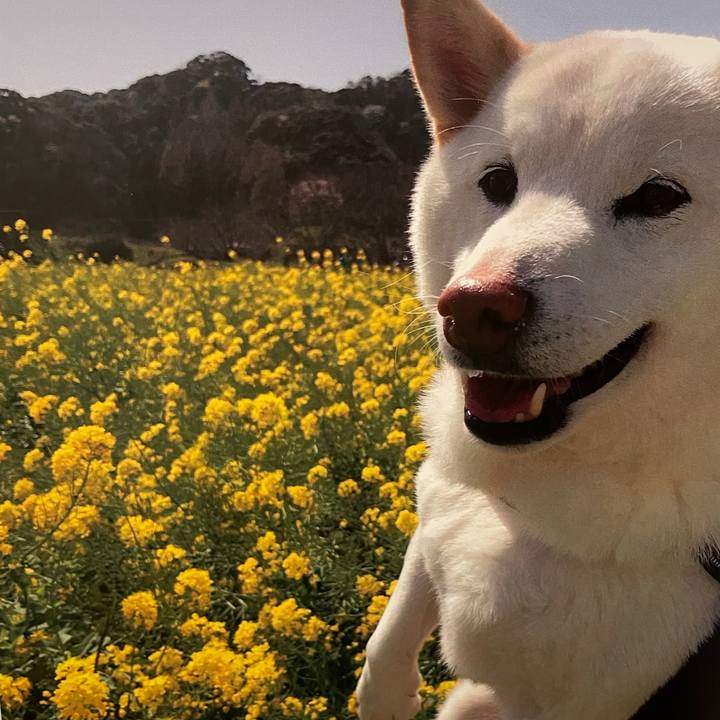 6e0b6570 a690 48b6 b276 139e5385ebbf 1614595677094