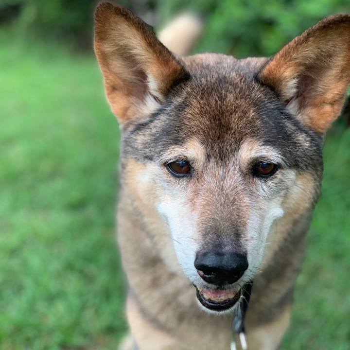 6e0b9248 f2cd 419f 88d8 121c2ddf8f70 1562466857869