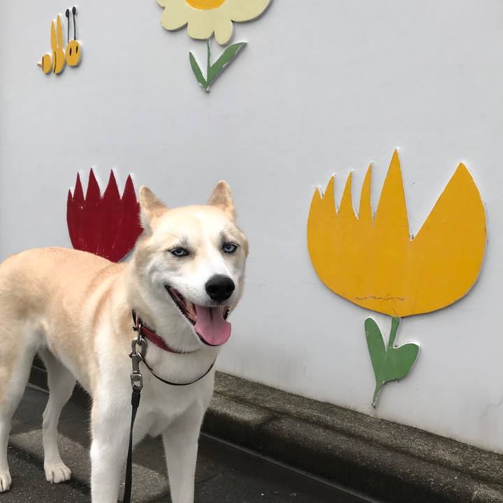 6e0b9483 2005 4796 8954 cc5d2ef18648 1536531137610