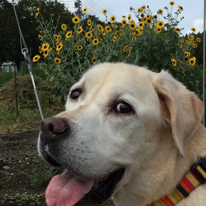 6e0ba1fb 9b9e 4a1d ae74 f18db3936bd3 1537266013466