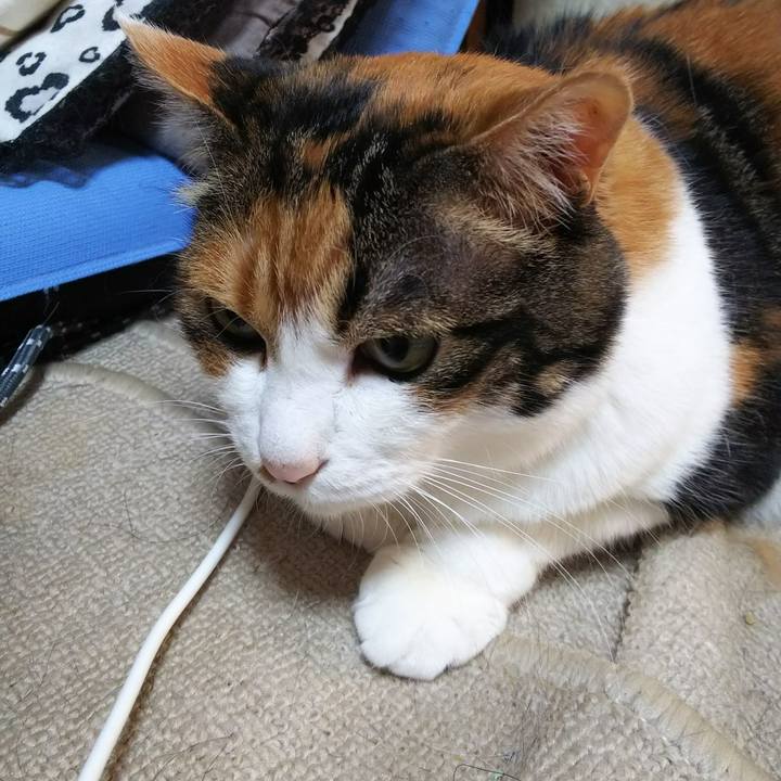 6e0bd0bf 4ec7 4bd9 b406 0412d7935d1f 1533340721039