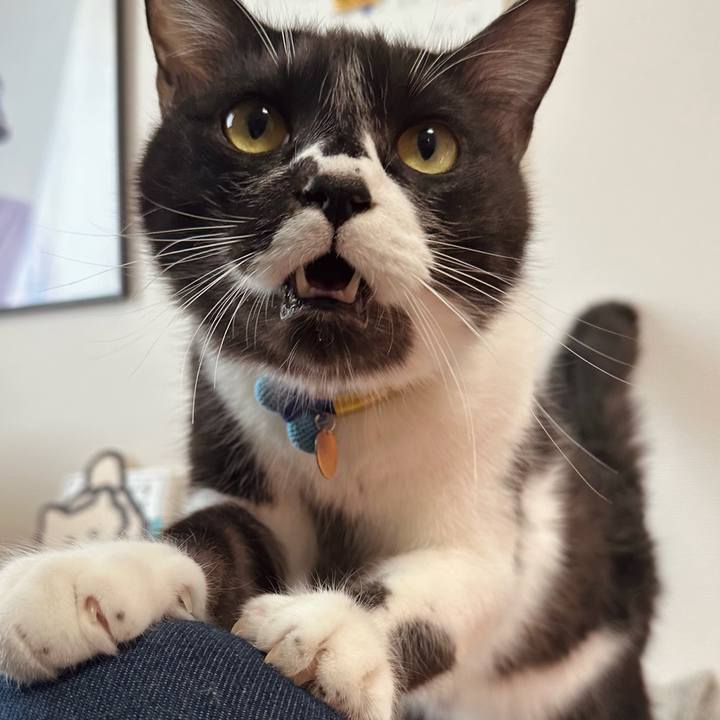 6e0bd3a8 1aed 4941 a90c d83ce0f49508 1770865955939