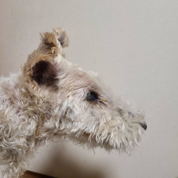 6e0bea8c dcc8 420c bfb4 cbfec94c2f31 1676988068259