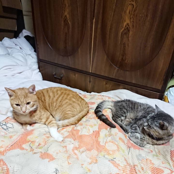 6e0c13b6 da55 44c9 a496 948f6b0fcc1e 1569672743641