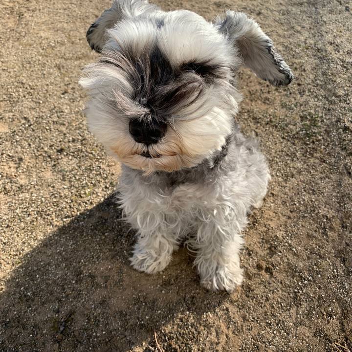 6e0c379b 2d1a 40b4 a7b8 7a07483d8172 1610515092143