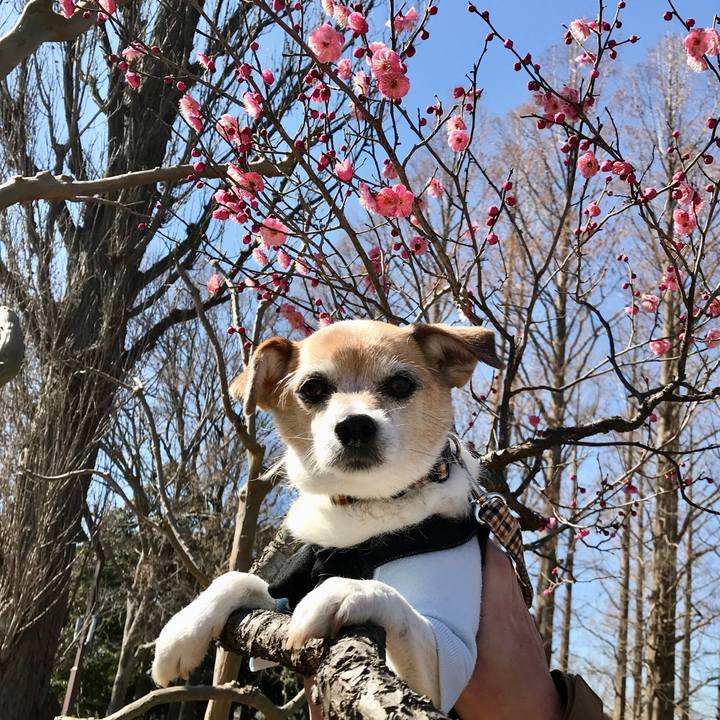 6e0c6618 1822 489e b9c2 48d6f451b438 1645849218282