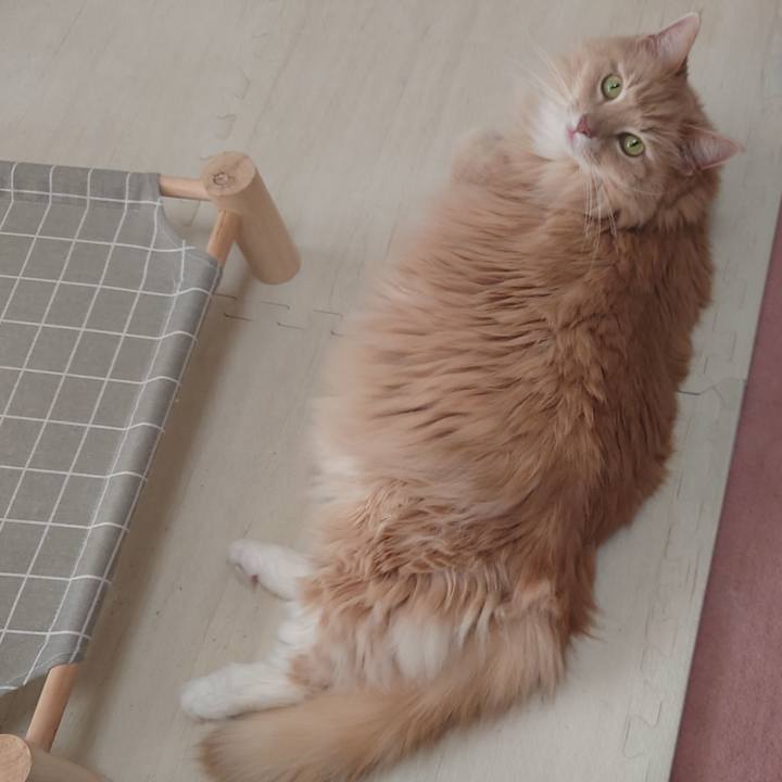 6e0c8657 59ee 4ab7 b011 3d25e7faa3c6 1683425681130