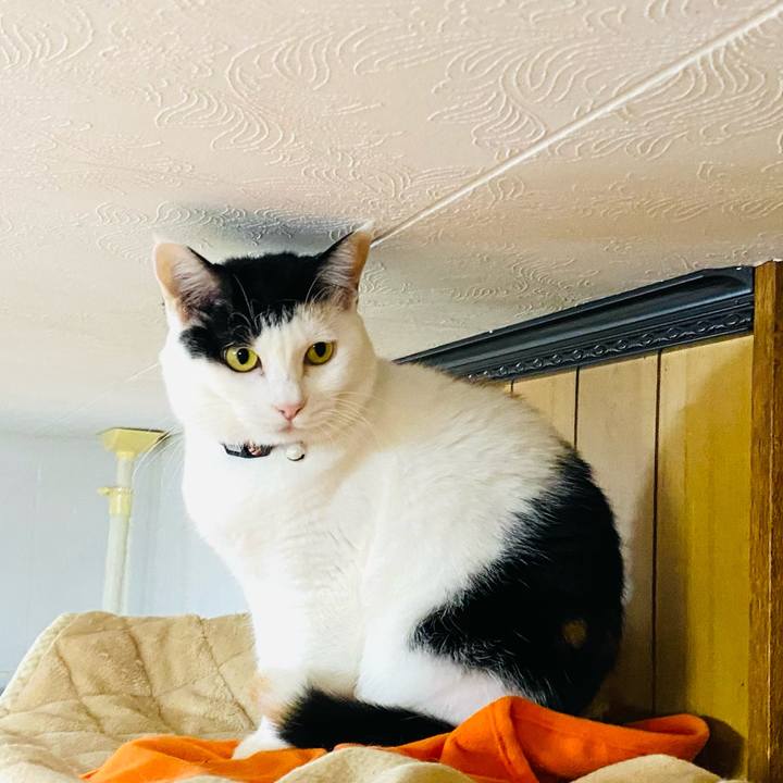 6e0c973b f0fd 4170 8251 ae31185be3ac 1669474990815