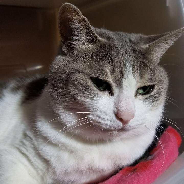 6e0cad95 a004 4904 a180 2492caaa00f7 1682951881887