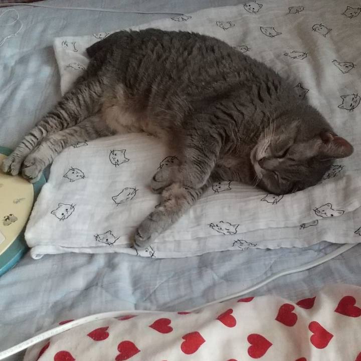 6e0cc77a 84c7 48a9 8c13 36a1e2b71a19 1658446839193